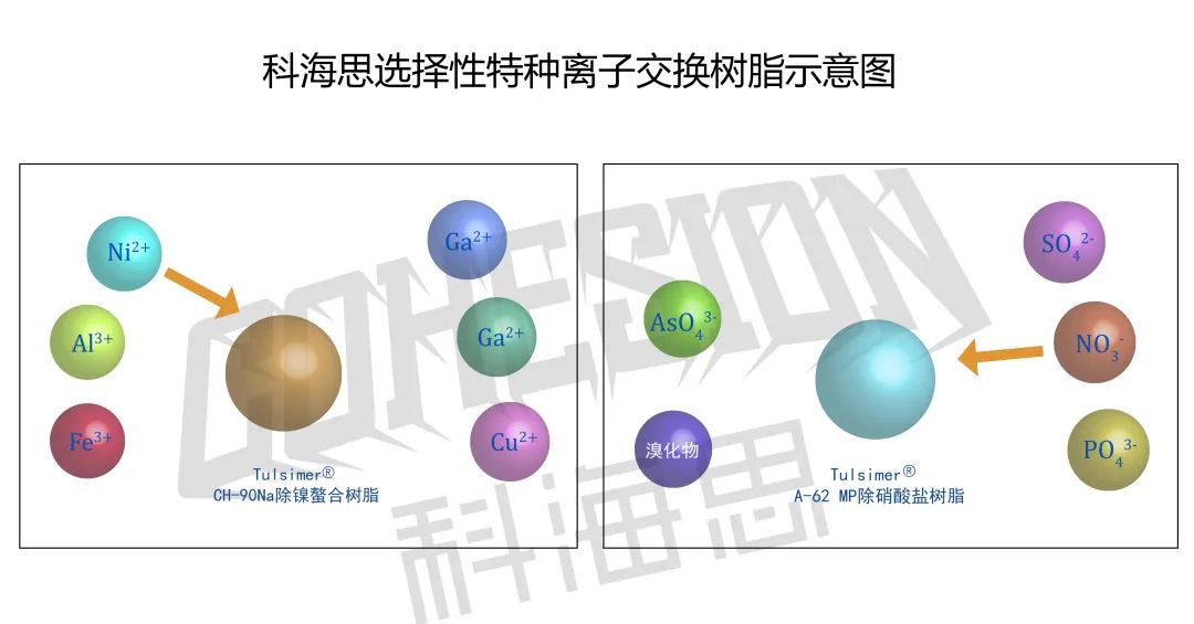 在實際水處理運行中，離子交換樹脂選擇性的影響因素有哪些